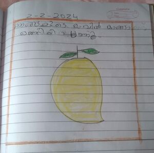 33514 KTM Aleena aji.jpg