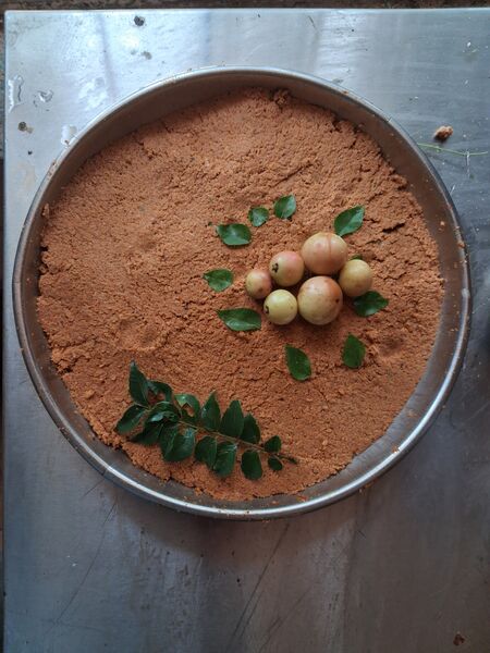 പ്രമാണം:41409 Nellikka chammanthy 2.jpg