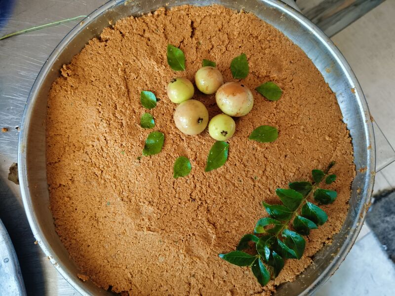 പ്രമാണം:41409 Nellikka chammanthy 4.jpg