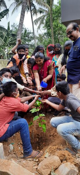 പ്രമാണം:44354environmentday.jpg