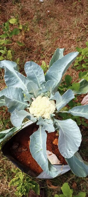 WhatsApp Image 2022-03-13 at 12.24.57 AM.jpg