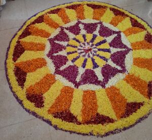 11265 ONAM 7B.jpg