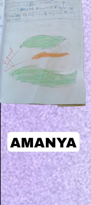 14847-KNR-KUNJ-Amanya N.jpeg