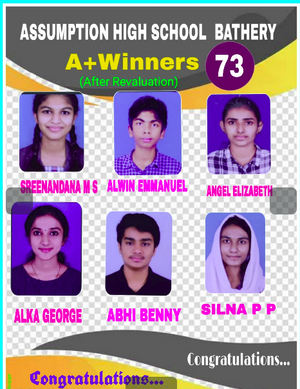 15051 addtional -2.png