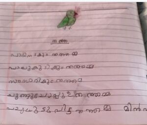 18517-mlp-kunj-minha p.jpeg