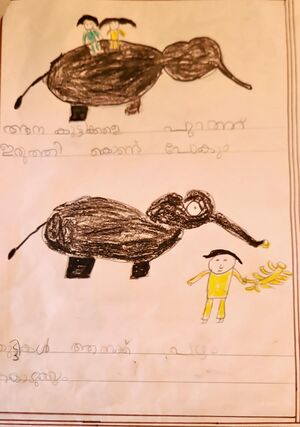 19729-MLP-KUNJ-FATHIMA NIAMA.jpg