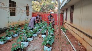 19776 - MDPS- FARMING.jpeg