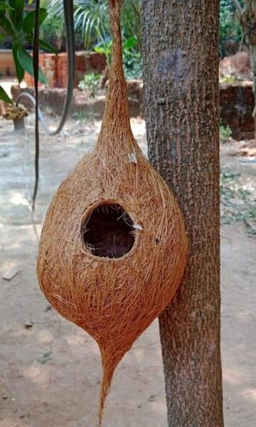 പ്രമാണം:20220309 115543.jpg