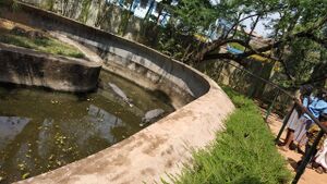 21302-tour2019 41.jpg