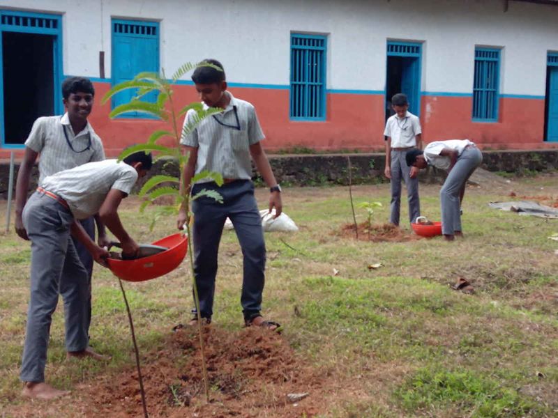 പ്രമാണം:28012 EC03.JPG