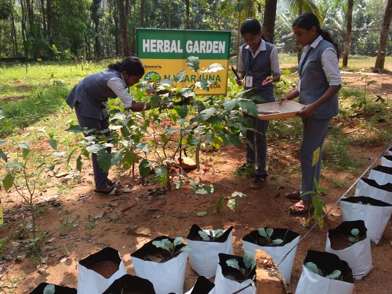 പ്രമാണം:29032 805.jpg