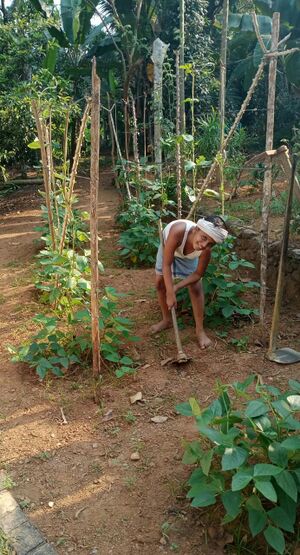 29312 environmentclub29.jpeg