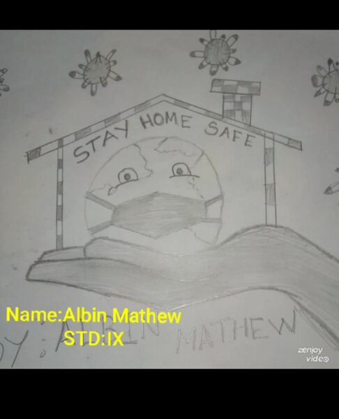 പ്രമാണം:37019 ALBIN.jpeg