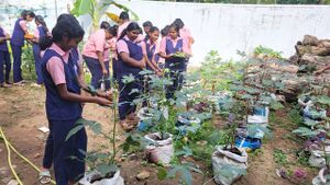 45005 IMG-20250125-WA0003.jpg