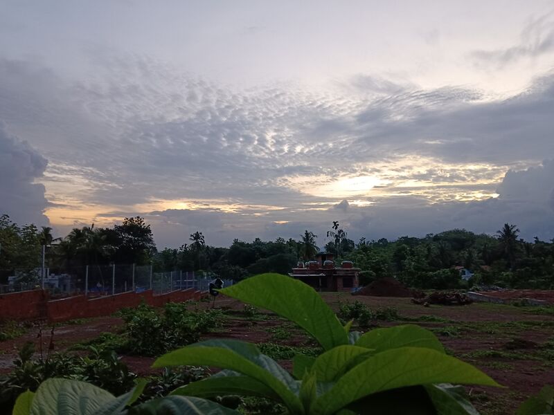 പ്രമാണം:48470 nature.jpg