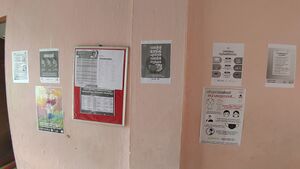 BS21 ALP 46040 5.jpg