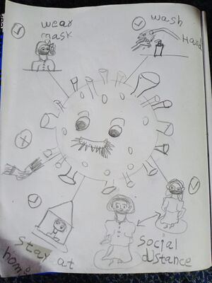 Nerkkazhcha hq 2.jpeg