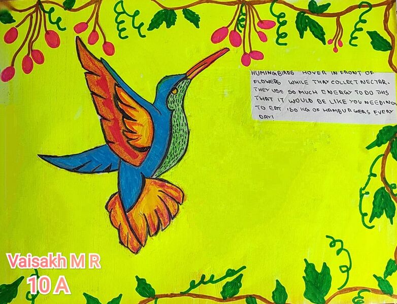 പ്രമാണം:Vaisakh m r 10a.jpg