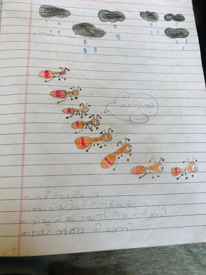 11469-KGD-KUNJ-SHENZA FATHIMA.jpg