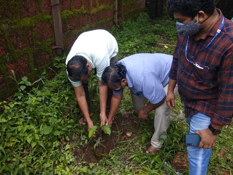 പ്രമാണം:13075 133.jpeg