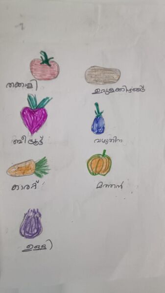 പ്രമാണം:15085-WYD-KUNJ-FATHIMA K.jpeg