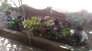 16446 Paristhithidinam 3.jpeg