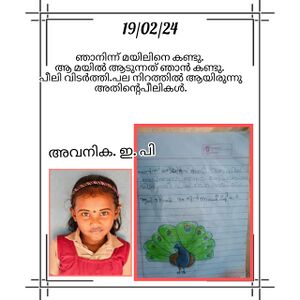 18639-MLP-AVANIKA .jpg