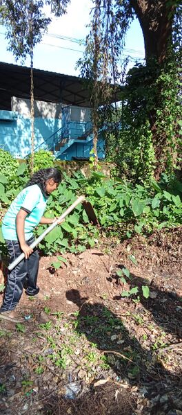 പ്രമാണം:19043 1.jpg