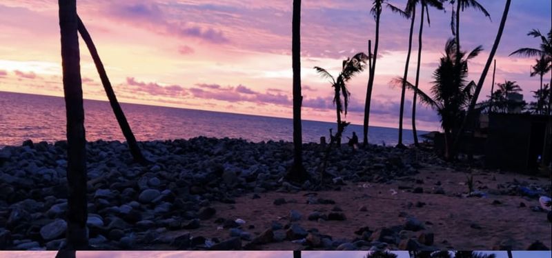 പ്രമാണം:19051 tar32.jpg