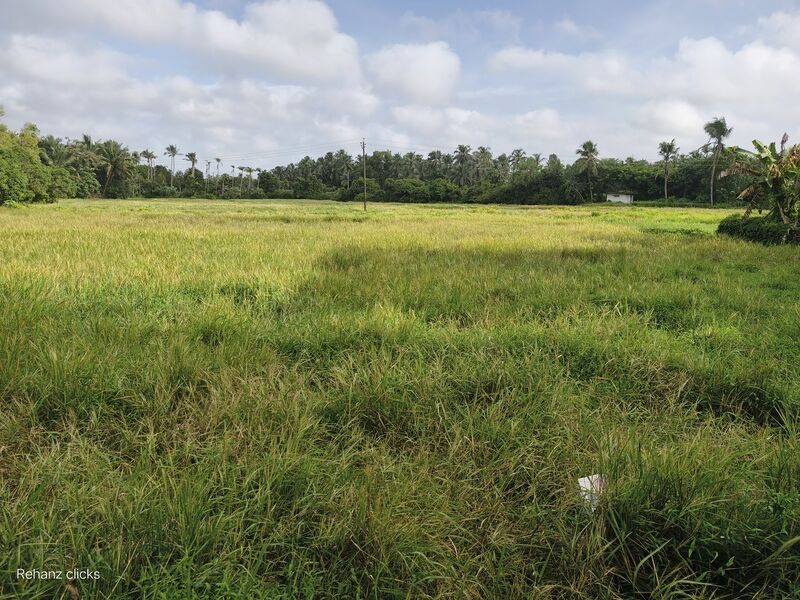 പ്രമാണം:19776 grama.resized.jpg