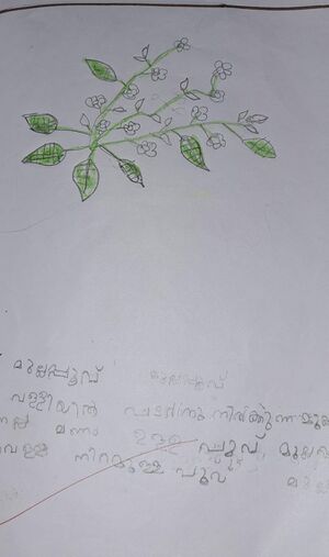 25415-EKM-KUNJ-JINO JIMSON.jpg