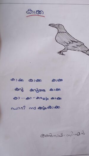 29349-IDK-ANSAF C N.jpeg