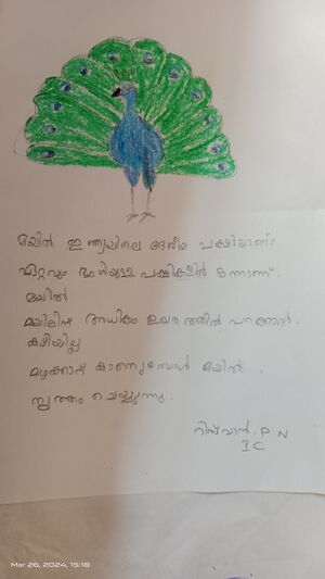 34331-ALP-KUNJ-RISWAN P N 1C .jpg