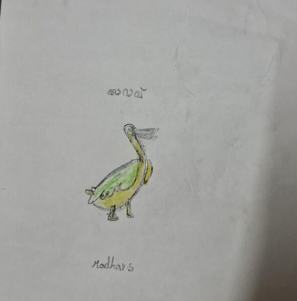 പ്രമാണം:35211-ALP-KUNJ-MADHAV S.jpeg.jpg