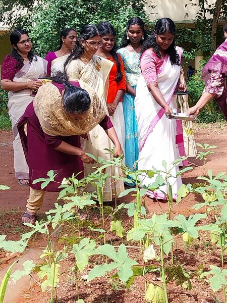 പ്രമാണം:36064 veg2.jpg