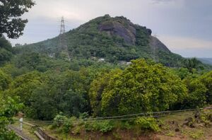 40441 ottakkal pandavanpara.jpg