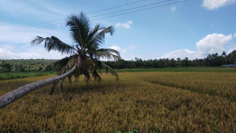 പ്രമാണം:42359 beautiful evening.jpg