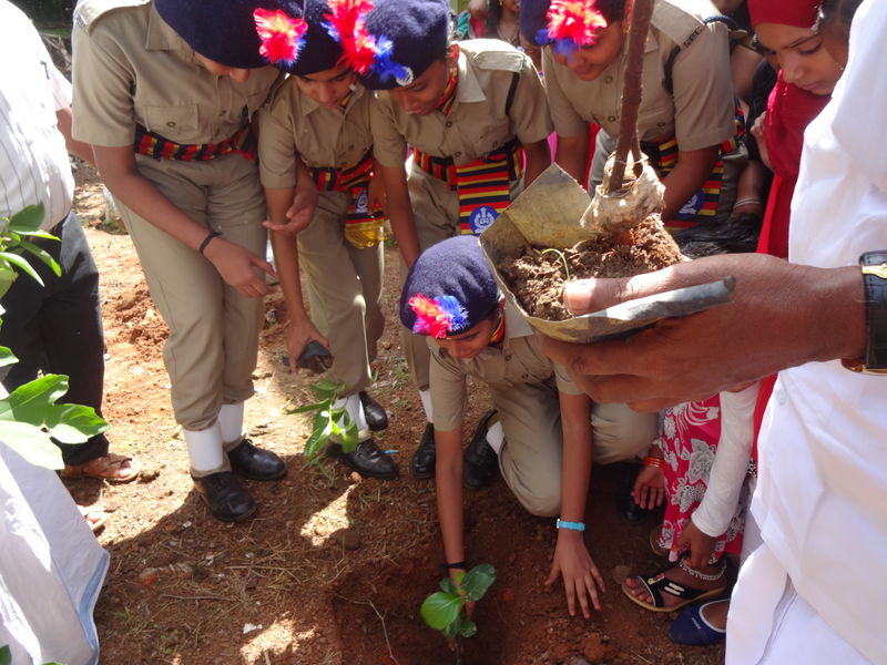 പ്രമാണം:43014 spc8.JPG