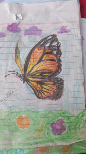 44055 butterfly12.jpeg