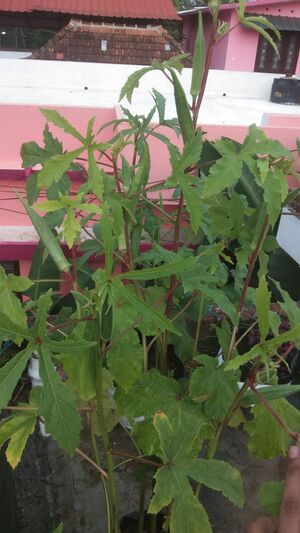 WhatsApp Image 2022-01-10 at 12.04.50 PM.jpg