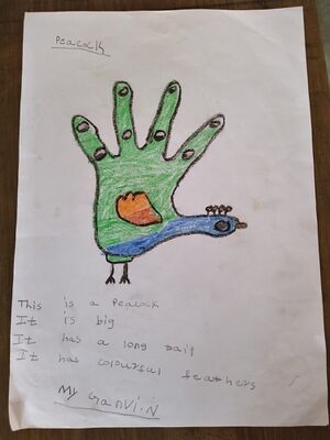 11232-KGD-KUNJ-Ganvi p.jpg