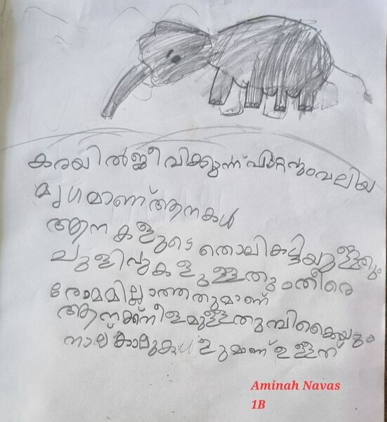 പ്രമാണം:13379-KNR-KUNJ-AAMINAH NAVAS.jpg