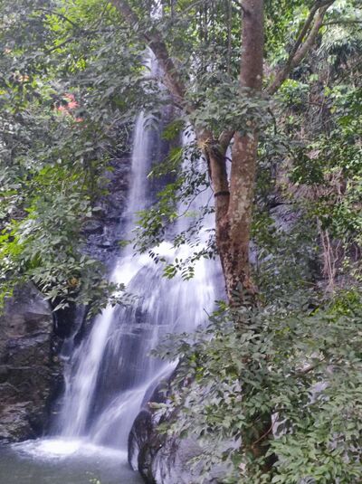 തിരികക്കയം