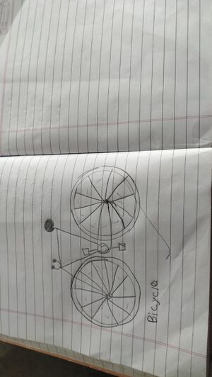 16561-KKD-KUNJ-SELLA FATHIMA.jpeg