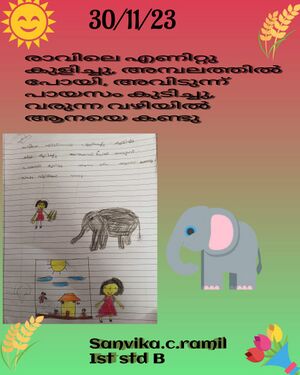 17263 SANVIKA C RAMIL1 B.jpg