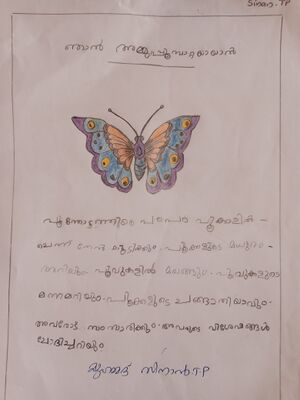 18215-MLP-KUNJ-MUHAMMED SINAN 1B.jpg