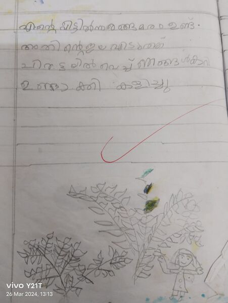 പ്രമാണം:19624-MLP-KUNJ-AMNA MEHARIN.jpg