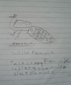 19833-MLP-KUNJ-1A-Fathima Bushra.jpg