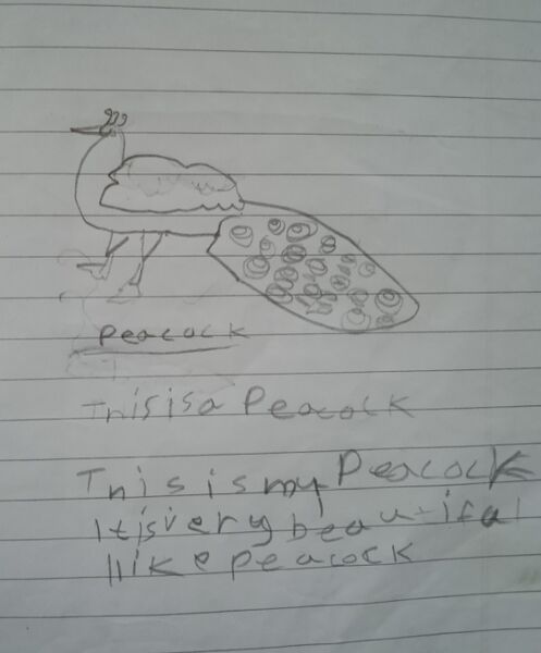 പ്രമാണം:19833-MLP-KUNJ-1A-Fathima Bushra.jpg