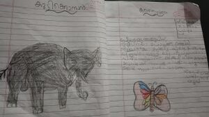 21228 pkd kunj liyamariam.jpeg